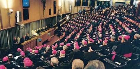 world synod of bishops