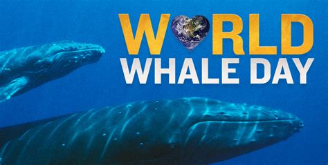 world whale day 2022