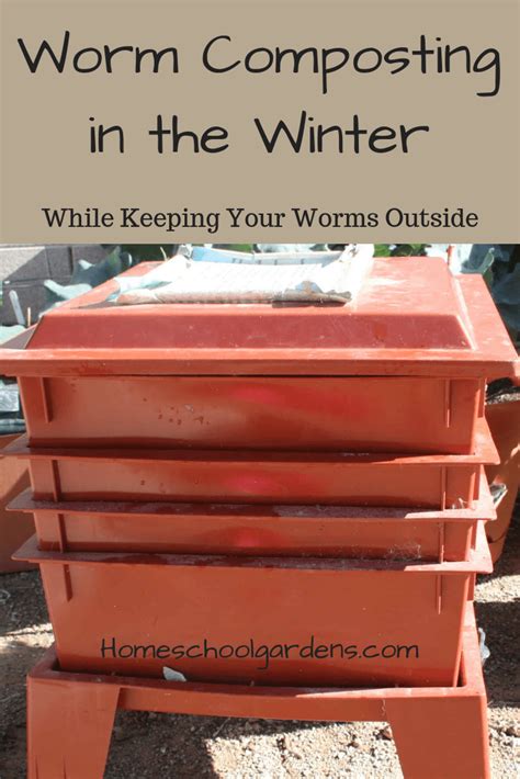 Worm Bin In Winter
