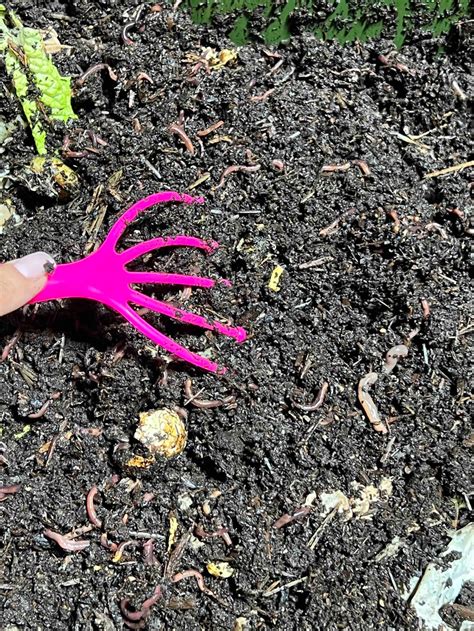 Worm Compost Smells Bad