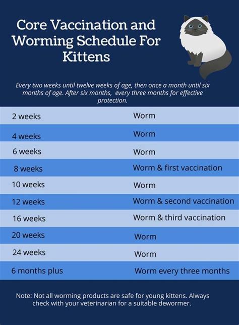 Worming A Cat How Often