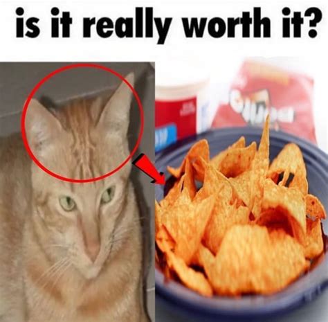 worth it meme