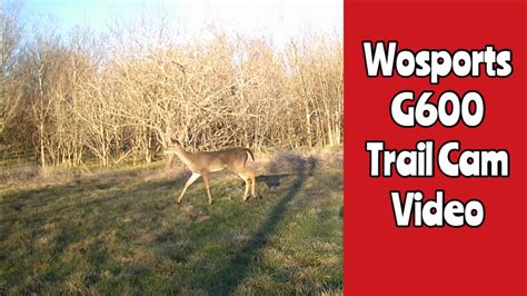 wosports trail camera video playback