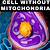 would an animal cell be able to survive without mitochondria