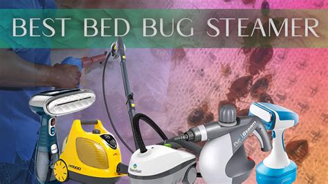 Would A Steamer Kill Bed Bugs