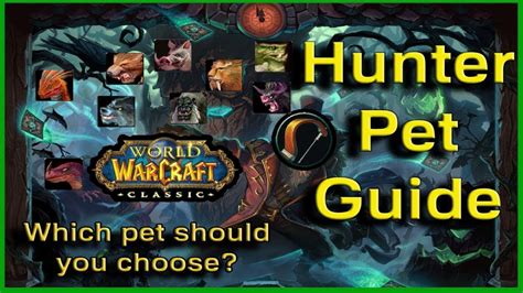 Unleash Your WoW Pet Prowess with Our Comprehensive Guide
