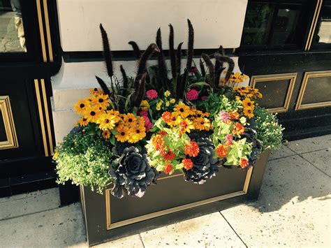Wow Window Boxes Cincinnati Ohio
