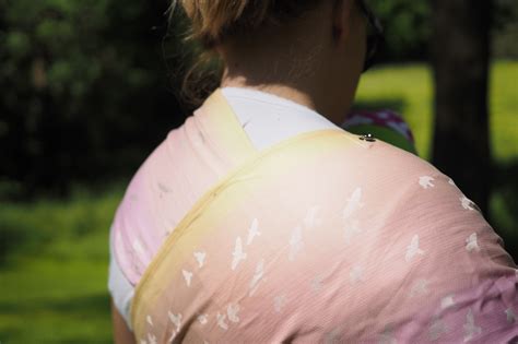 Wraptai Oder Wrapstar