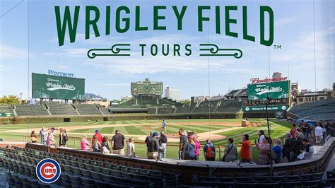 wrigley field tour review