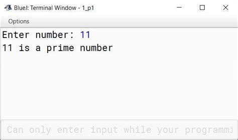 write a program to test the prime number in java