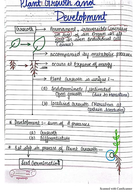 write a short note on growth and development