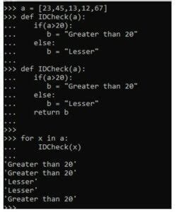 write a user defined function in python named puzzle wn