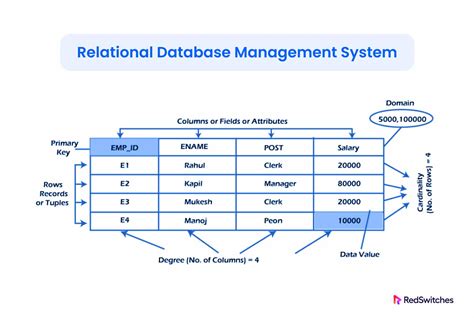 write any two example of rdbms