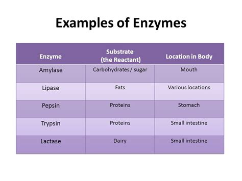 write definition of enzyme with example
