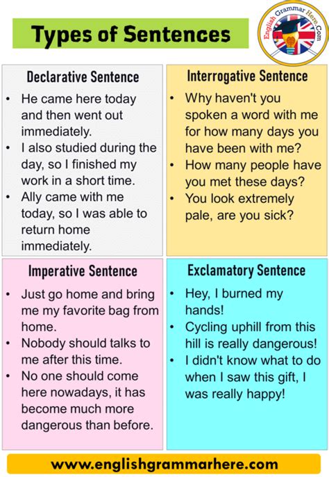 write different kinds of sentences with examples