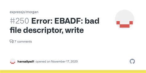 Write File Descriptor Error