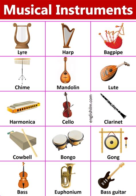 write five examples of musical instruments