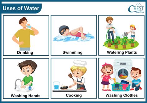 write some uses of water for class 3