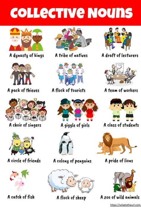 write the definition of collective noun with examples