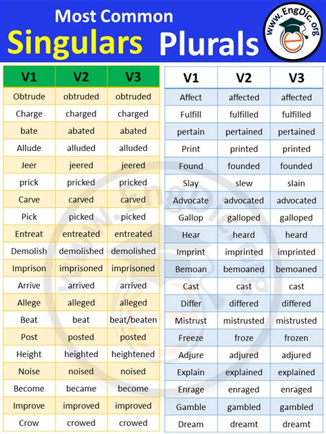 write three forms of verb with examples