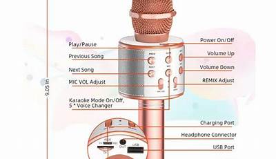 Ws 858 Wireless Microphone Manual