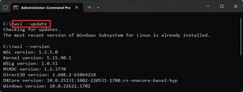 wsl linux kernel update