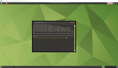 wsl ubuntu 24.04 gui