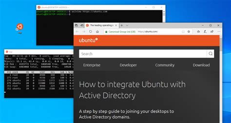 wsl ubuntu install package