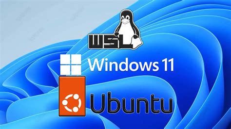 wsl ubuntu internet access