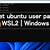 wsl2 ubuntu reset password