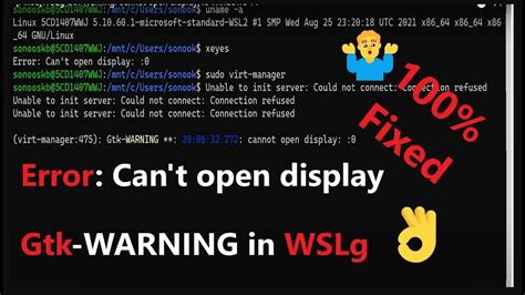 wslg cannot open display