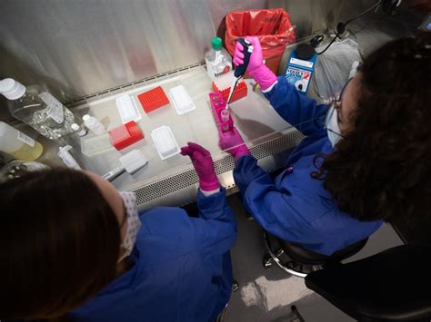 Washington State University to begin human testing for COVID‑19 WSU