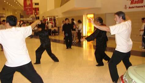 Sifu Helen Wu, whose movements are as rooted like a mountain, yet