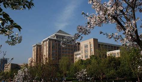 Wuhan University of Technology - Campus Scenery - Wuhan University of