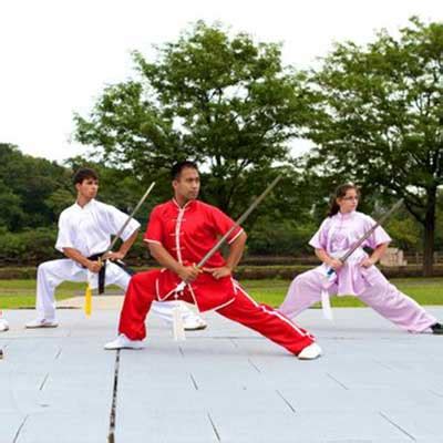 wushu taekwondo academy nj