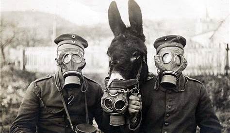 Gas Mask Art, Masks Art, Gas Masks, Chernobyl, Old Photos, Vintage