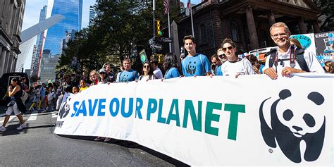 Explore Exciting WWF Careers: Make a Difference in Conservation Today