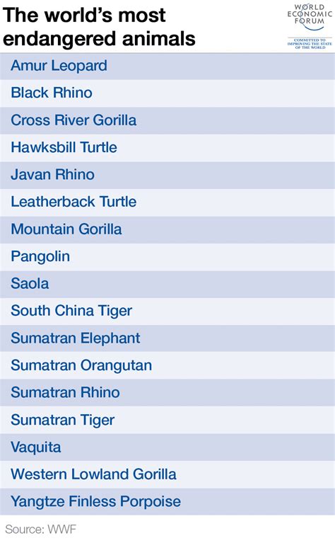 wwf endangered species directory