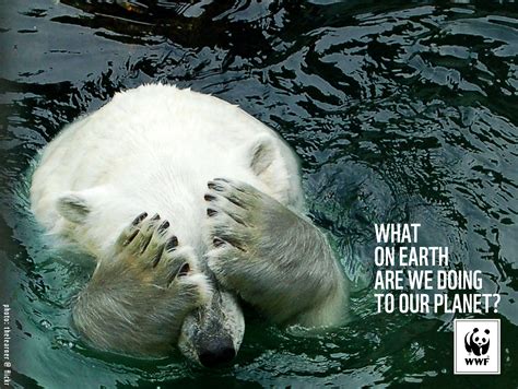 WWF's Mission to Protect Wildlife and Planet Earth