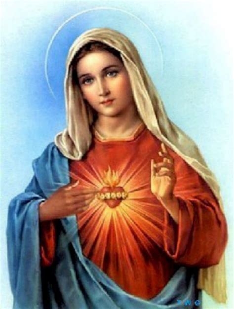 www.immaculate heart of mary.com