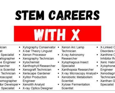 Unlock Your Potential: Top X Careers for Success