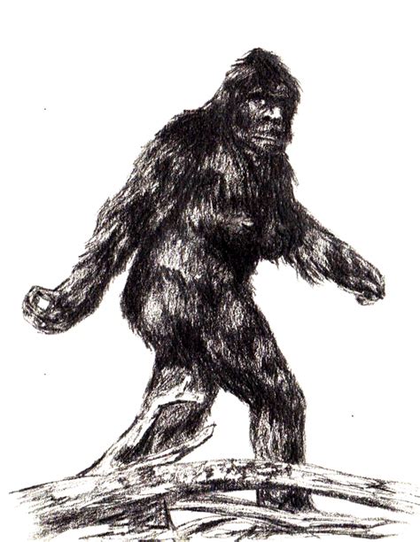 X Files Sasquatch Drawing