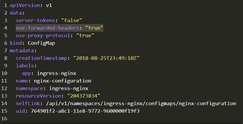 X-Remote_Addr Header