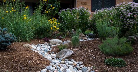 xeriscape garden