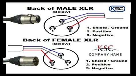 Xlr Cable Length