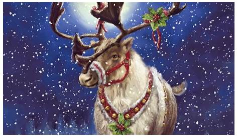 Xmas Reindeer Pictures Christmas Free Stock Photo Public Domain