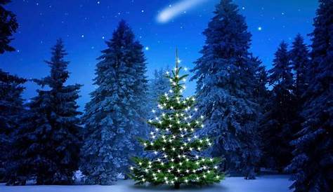 Xmas Wallpaper Tree s Christmas s s