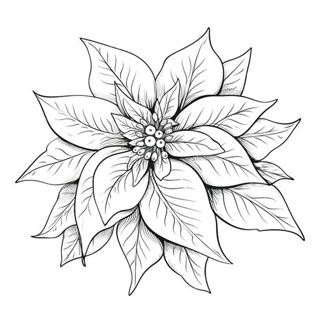 xmas flower drawing