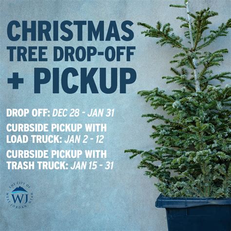 Xmas Tree Pick Up
