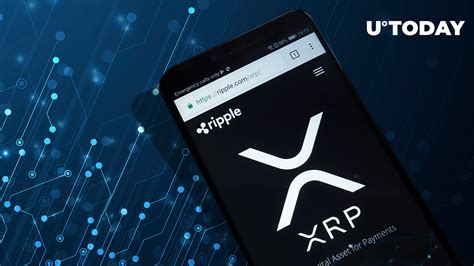 Xrp Wallet Explained